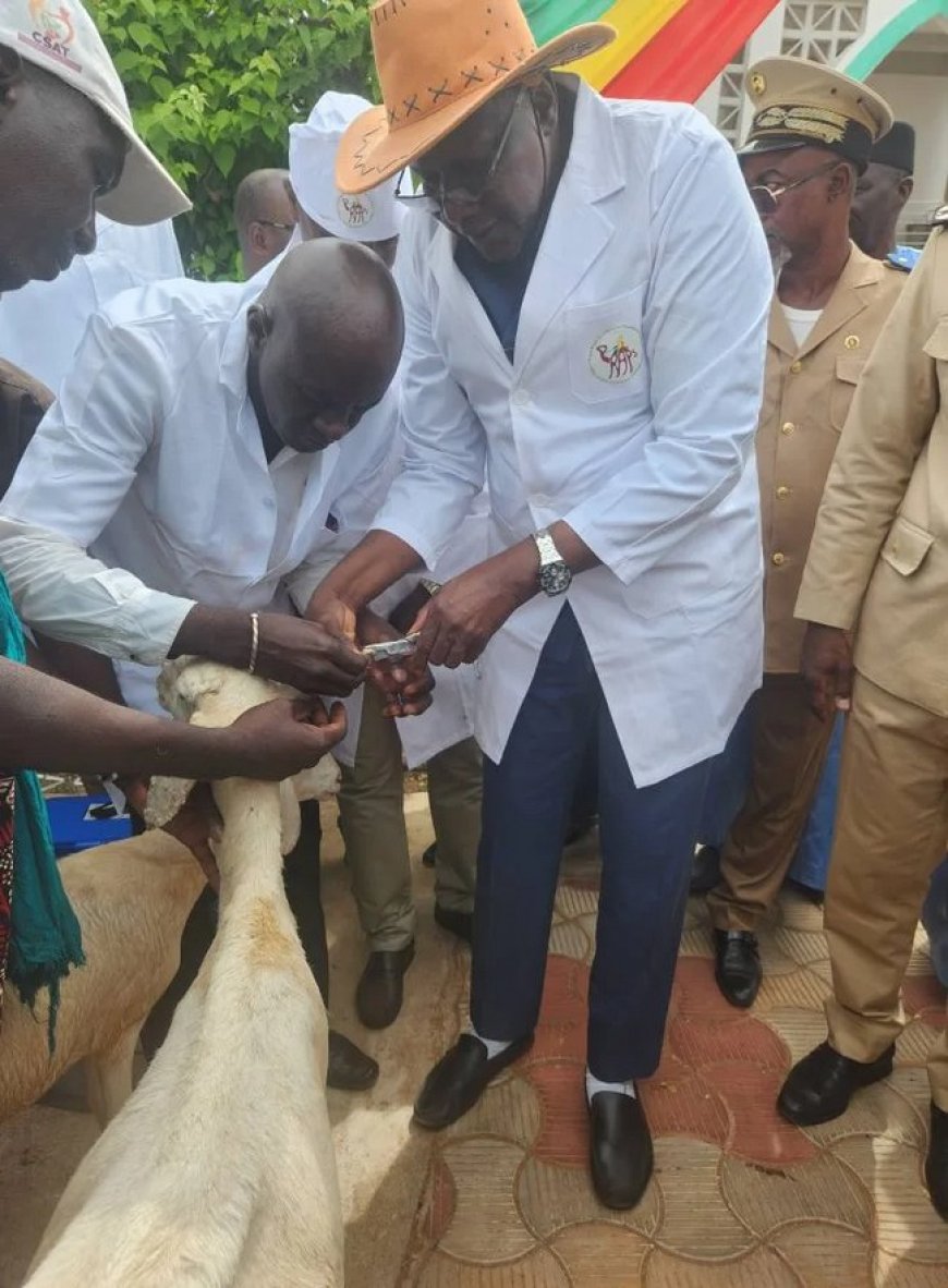 Campagne Spéciale de Vaccination et de Marquage Contre la Peste des Petits Ruminants : Le Ministre Youba Ba donne le coup d'envoi à Koulikoro