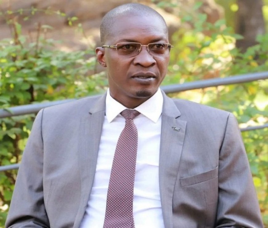 Insécurité au Mali : Poulô prône une autre approche