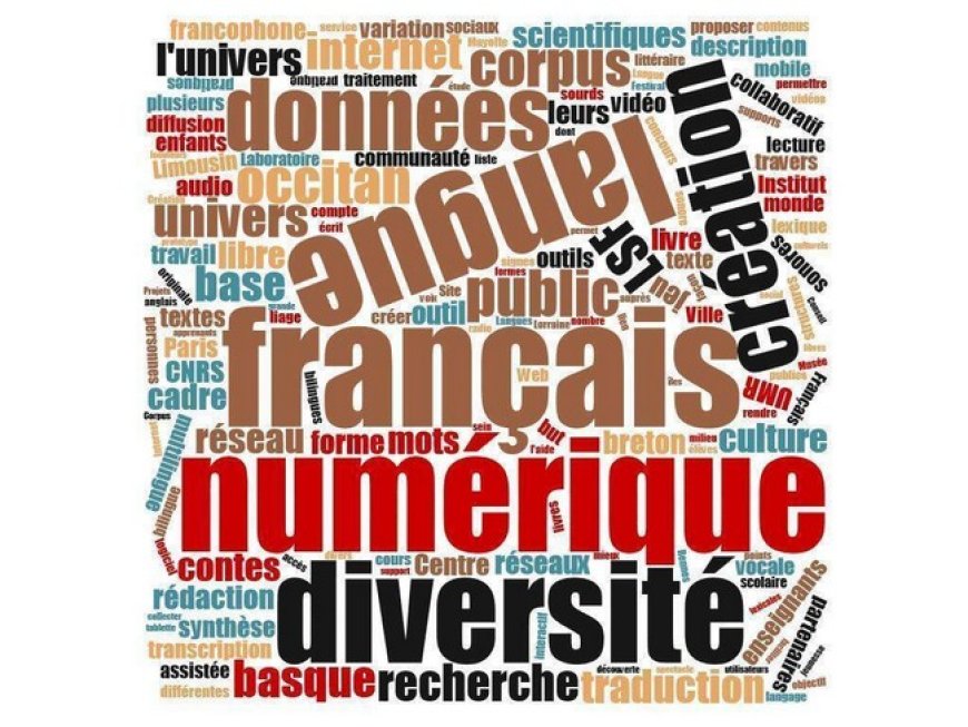 Langues, médias et numérique : Forger un Malien capable de parler au monde