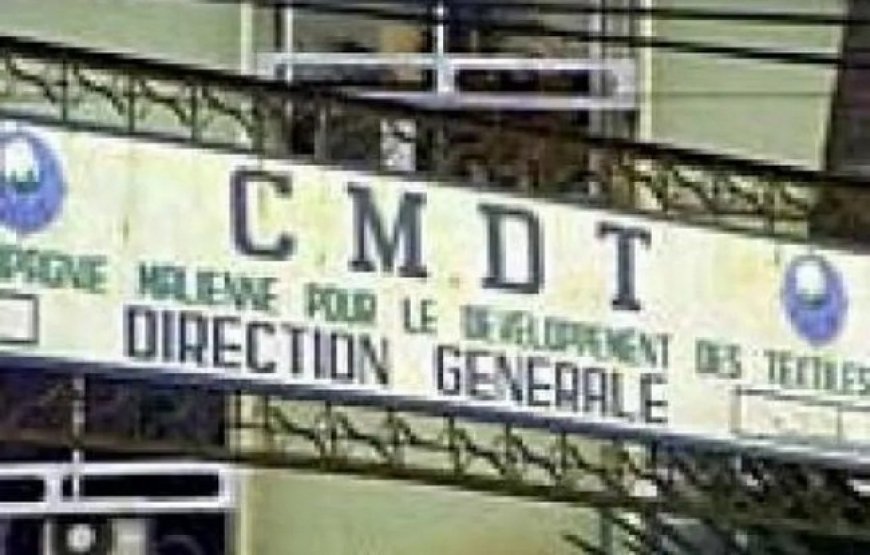 CMDT, avec un résultat net de 3,7 milliards de bénéfice pour un objectif de 1 milliards : Les signaux sont au vert