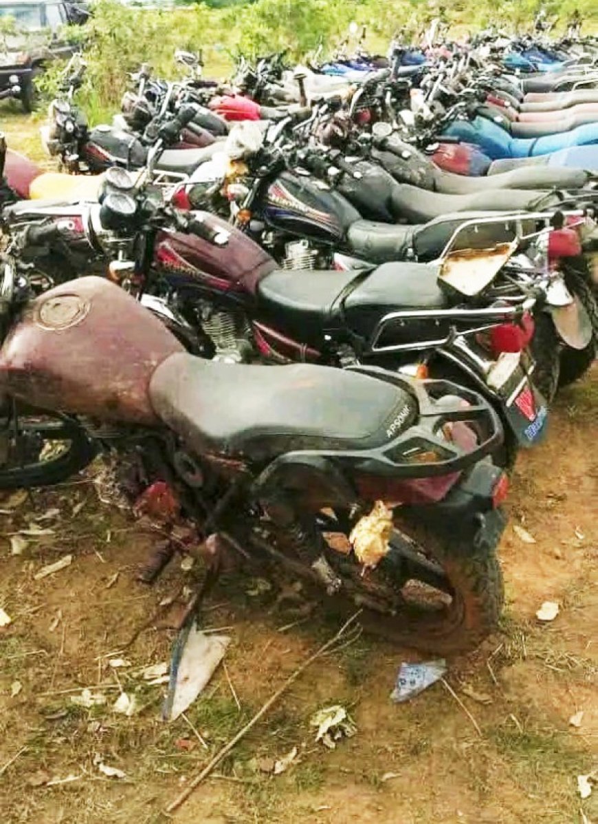 Région de Ségou : Les FAMa neutralisent plusieurs terroristes à Diakoro-Wèrè