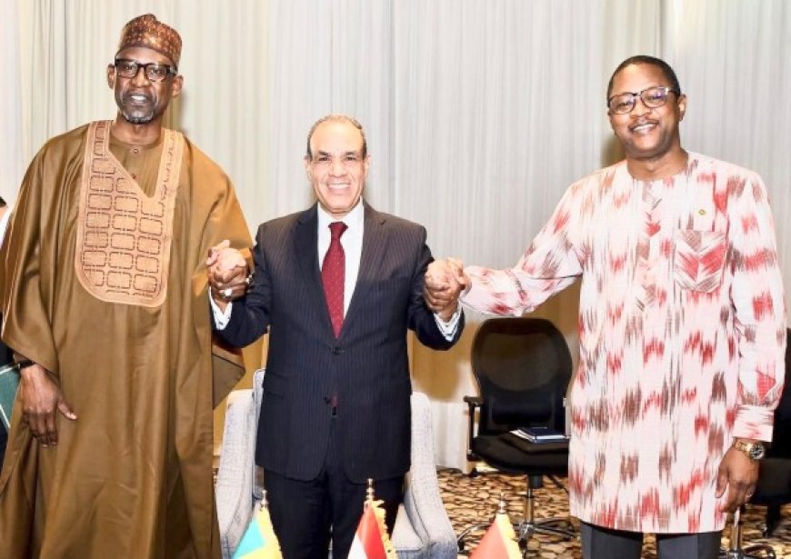 Forum d'Assouan : les ministres des Affaires étrangères de l'AES reçus par leur homologue égyptien