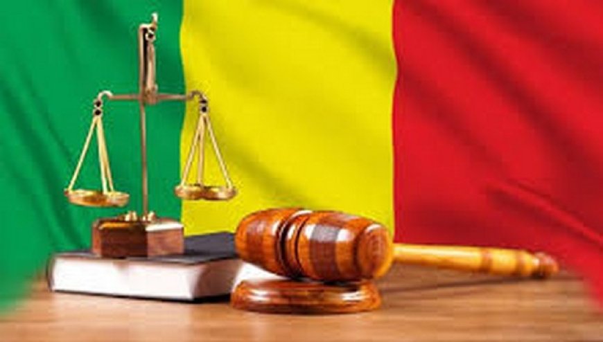 Mali / question de droit : le contentieux foncier, l’homme de droit explique. : « Entre coutume et loi,  à qui appartient vraiment la terre ».