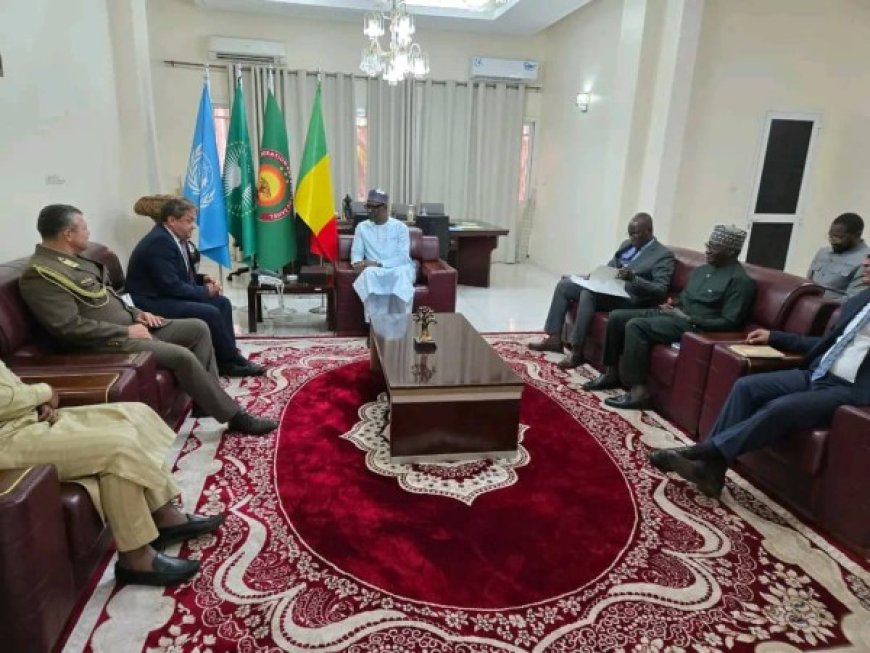 Diplomatie : Plusieurs ambassadeurs présentent les copies figurées de leurs lettres de créance au ministre Diop