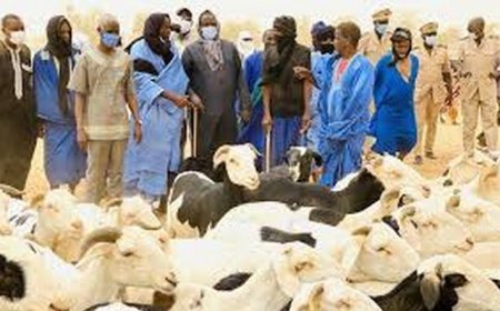 Mauritanie-Mali: l’arrêt de la transhumance du bétail nourrit bien d’inquiétudes