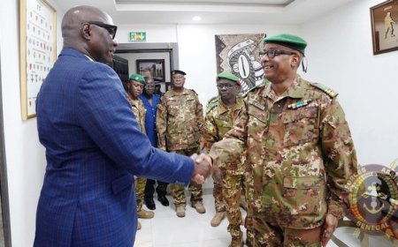 Coopération militaire Mali/Sénégal :  Une délégation malienne pour consolider la sécurité régionale dans la lutte contre les menaces transfrontalières