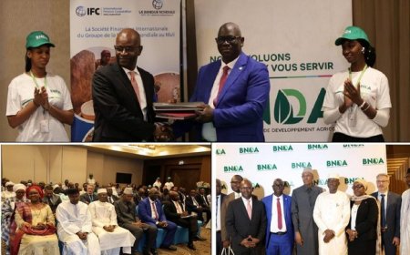 Pour booster les petites et moyennes entreprises :  La BNDA et la SFI signent une convention de financement