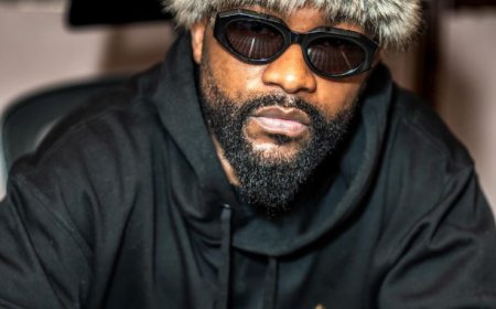 Fally Ipupa a répondu aux rumeurs  selon lesquelles il aurait été financé par le gouvernement pour son concert au Stade de France