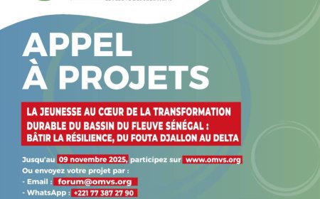 La jeunesse au cœur de la transformation durable du bassin du fleuve Sénégal : bâtir la résilience, du Fouta Djallon au delta "
