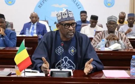 Diplomatie malienne : « Le Mali ne faillira pas »
