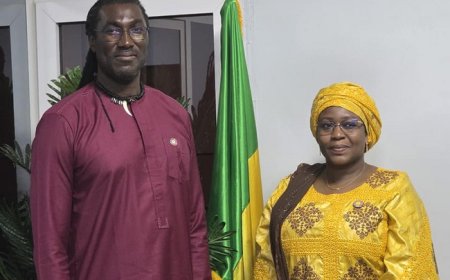 Mali-FAO : Le ministre Doumbia Mariam Tangara reçoit M. Dominique Koffy Kourou