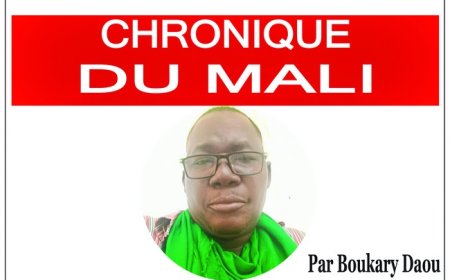 Le JNIM profite de la contradiction dans le jeu politique au Mali