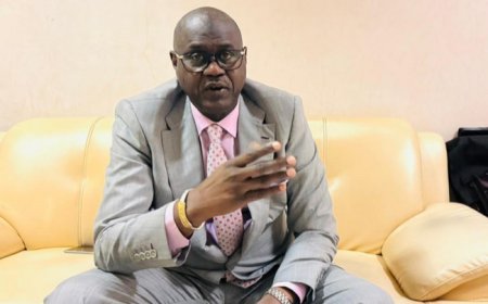 Entretien avec l’ancien ministre des Transports puis de l'intégration africaine sur la situation du pays : Me Baber Gano propose "un schéma de sortie de crise"