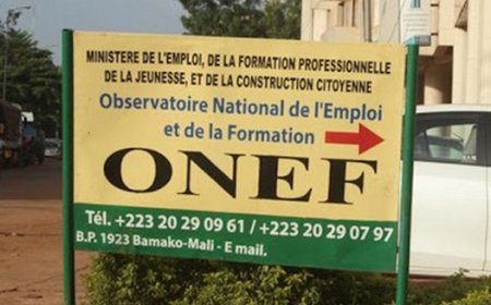40 901 emplois créés au 1er semestre 2025 La preuve : les données statistiques de l’Observatoire National de l’Emploi et de la Formation (ONEF) sont très édifiantes.