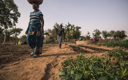 Tribune libre : L’Afrique ne se libérera pas à genoux Par un panafricaniste engagé