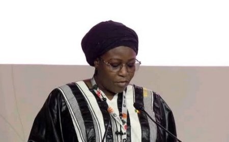 Le ministre DOUMBIA Mariam TANGARA l’a déclaré à la COP30 à Belém, au Brésil : « Le Mali regrette la non-tenue des promesses faites lors des COP de Paris et de Baku »