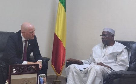 Le CICR veut renforcer ses actions au Mali : Le nouveau Chef de la Délégation reçu par le Ministre Youba Ba
