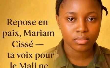 Mariam Cisse, Tiktokeuse : Réduite au silence pour son amour de la patrie