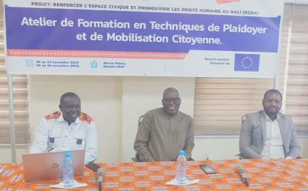 Droit de l’Homme : IPAO et ASF/ Mali forment  20 acteurs défenseurs des droits humains en techniques de plaidoyer et de mobilisation citoyenne