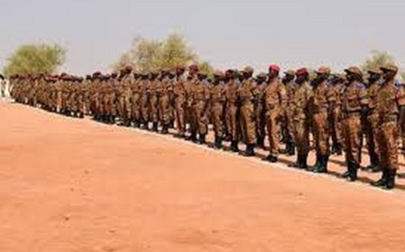 Armée conjointe AES : Une réponse militaire des Sahéliens
