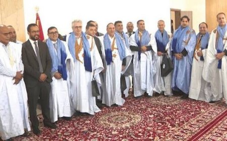 Des investisseurs américains explorent les potentialités de la région Dakhla-Oued Eddahab.