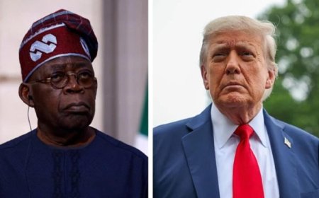 Le Nigeria renforce sa coopération sécuritaire avec les États-Unis et nie les violences ciblant les chrétiens