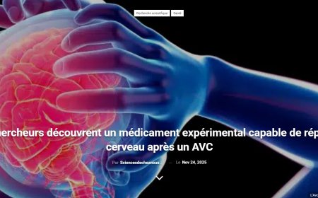 Des chercheurs découvrent un médicament expérimental capable de réparer le cerveau après un AVC