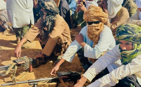 DDRI : Le MSA lance la mobilisation à Ménaka