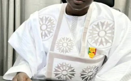 INPS: Idrissa Bakary DIARRA nommé Directeur général