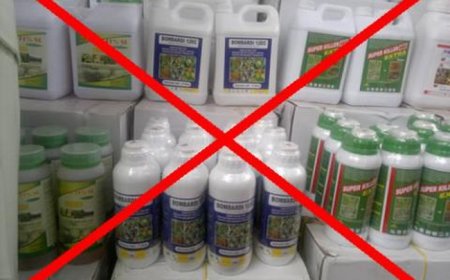 Mali : des organisations paysannes exigent l’arrêt des pesticides interdits en Europe