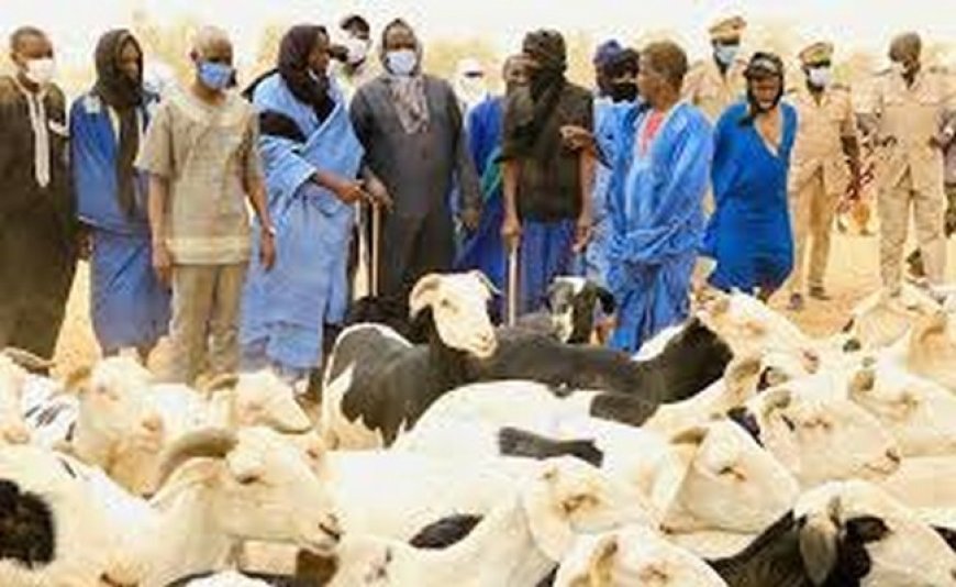 Mauritanie-Mali: l’arrêt de la transhumance du bétail nourrit bien d’inquiétudes