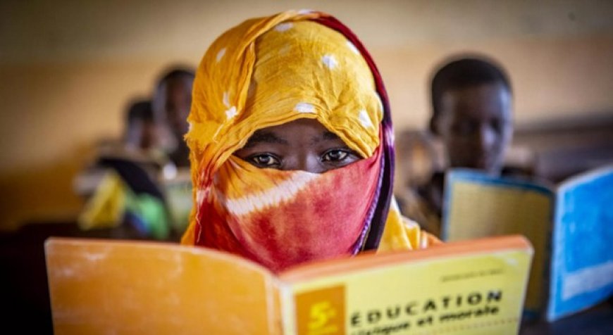 Harcèlement sexuel en milieu scolaire et universitaire : Un fléau silencieux aux lourdes conséquences