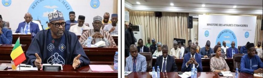 Situation du Mali : Le ministre Abdoulaye Diop rassure les diplomates