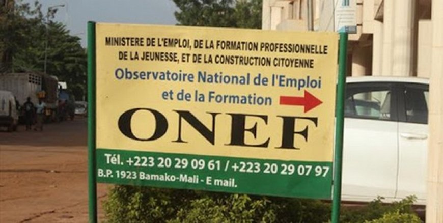 Observatoire national de l’emploi et de la formation (ONEF) :  Les administrateurs à l’heure du renforcement de capacités
