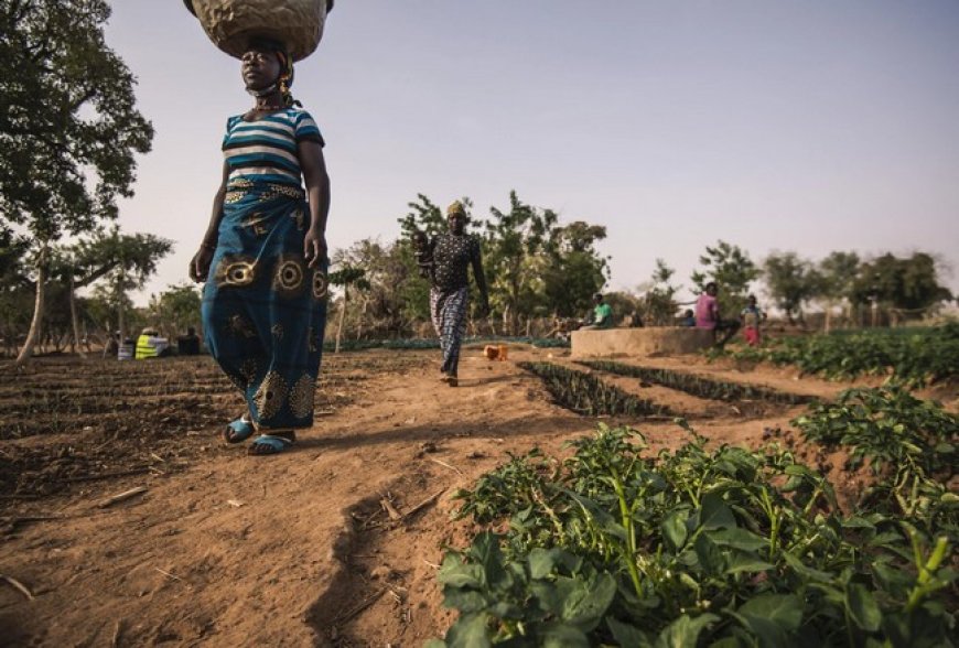Tribune libre : L’Afrique ne se libérera pas à genoux Par un panafricaniste engagé