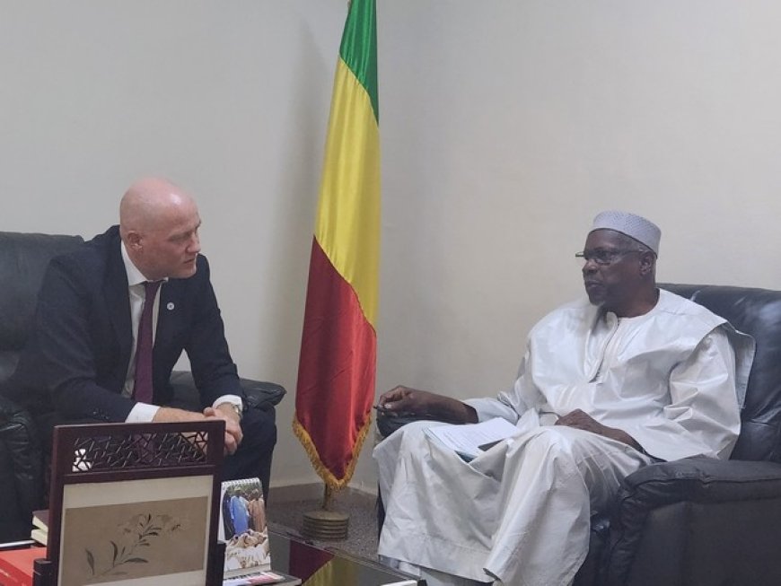 Le CICR veut renforcer ses actions au Mali : Le nouveau Chef de la Délégation reçu par le Ministre Youba Ba