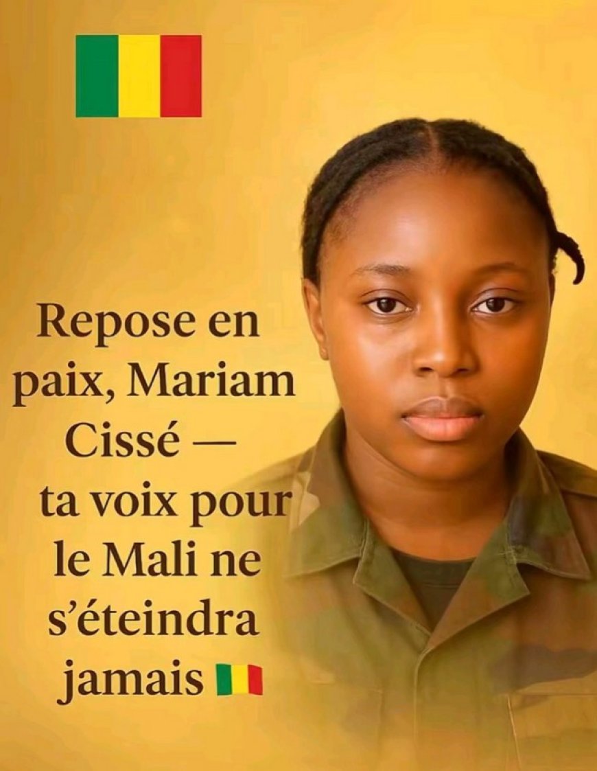 Mariam Cisse, Tiktokeuse : Réduite au silence pour son amour de la patrie