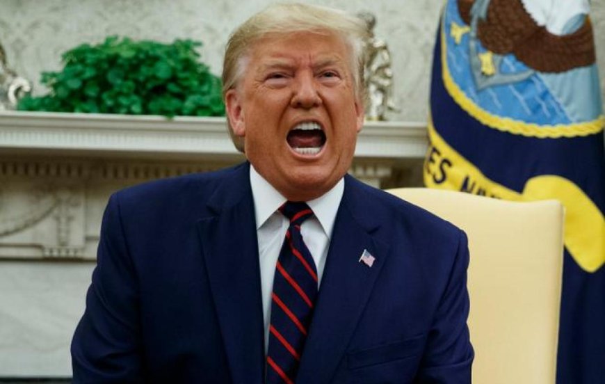 Pour Trump, « c'est le moment » d'organiser des élections en Ukraine