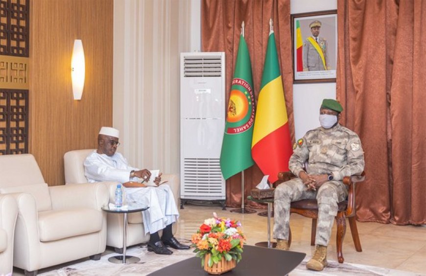 Nommé ambassadeur du Mali au Caire : Samba A. Baby reçoit la feuille de route du président Assimi !