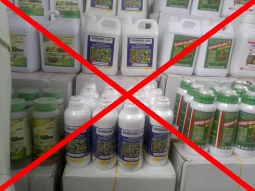 Mali : des organisations paysannes exigent l’arrêt des pesticides interdits en Europe