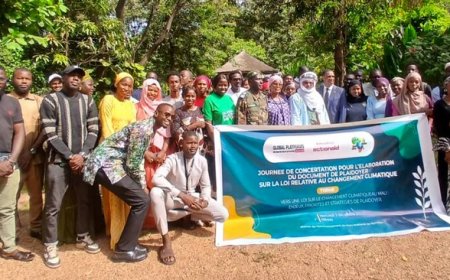 Mali : la société civile plaide pour une loi sur le changement climatique