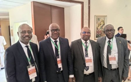 Réunion de la CIPRES à Bangui :  Les experts se réunissent pour renforcer la Protection Sociale