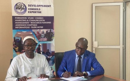 Partenariat Zanfere Consulting-DEV-CE : une alliance stratégique mise à la disposition des entreprises