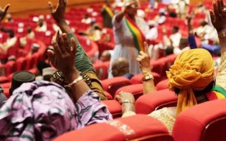 La Loi de Finances 2026 passe devant le CNT