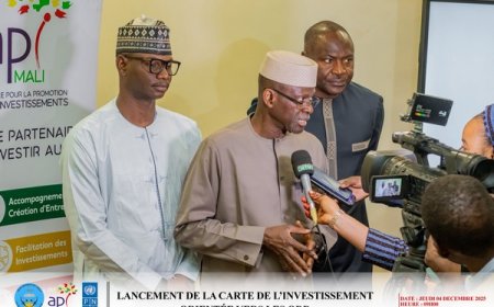 API-MALI : Lancement d’une carte des investissements alignée sur les objectifs du développement