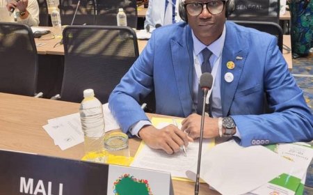 Alioune Gueye lors des travaux de l'union parlementaire africaine à Kinshasa : "Il est temps et grand temps que l'Afrique se réveille, s'assume et assume pleinement ses choix souverains"