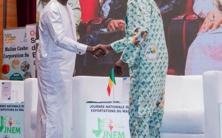 Le ministre Moussa Alassane Diallo à l'ouverture de la JNEM 2025 :  «Il s'agit, à travers cette journée, de célébrer les acteurs du commerce extérieur et de valoriser les performances de nos entreprises exportatrices…"