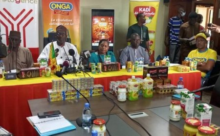 11ème Édition du Festival du DIBI à Bamako : Gastronomie, Cohésion Sociale et Dynamisme Économique au Rendez-vous