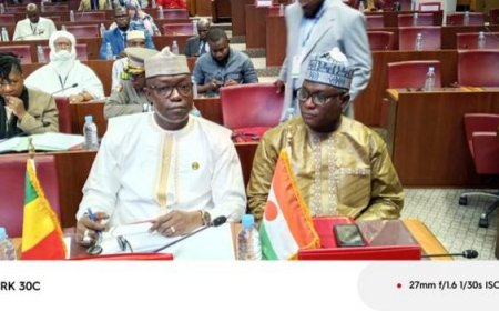 Le Président du CNT, Malick Diaw à la 3è Conférence des Présidents d’Assemblées Législatives Africaines à Rabat