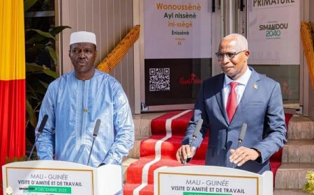 Abdoulaye Maïga en Guinée : L’axe Bamako-Conakry se porte bien